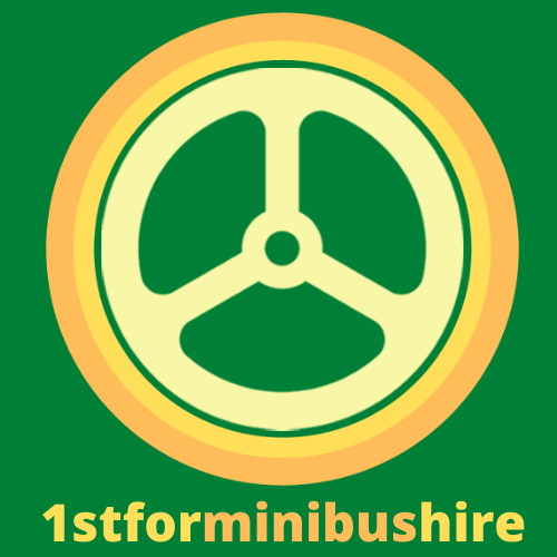 1stforminibushire logo