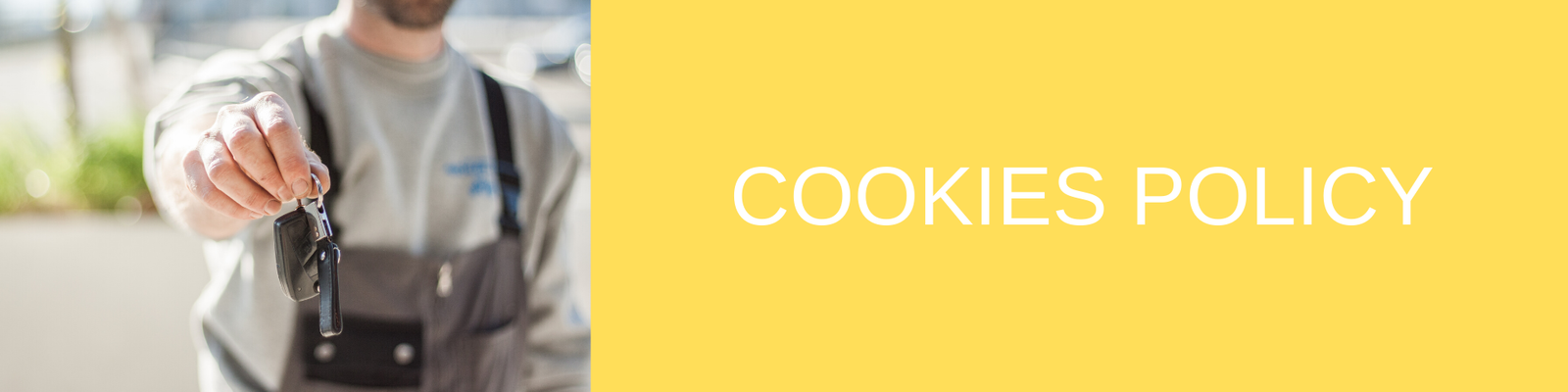 Cookies Policy